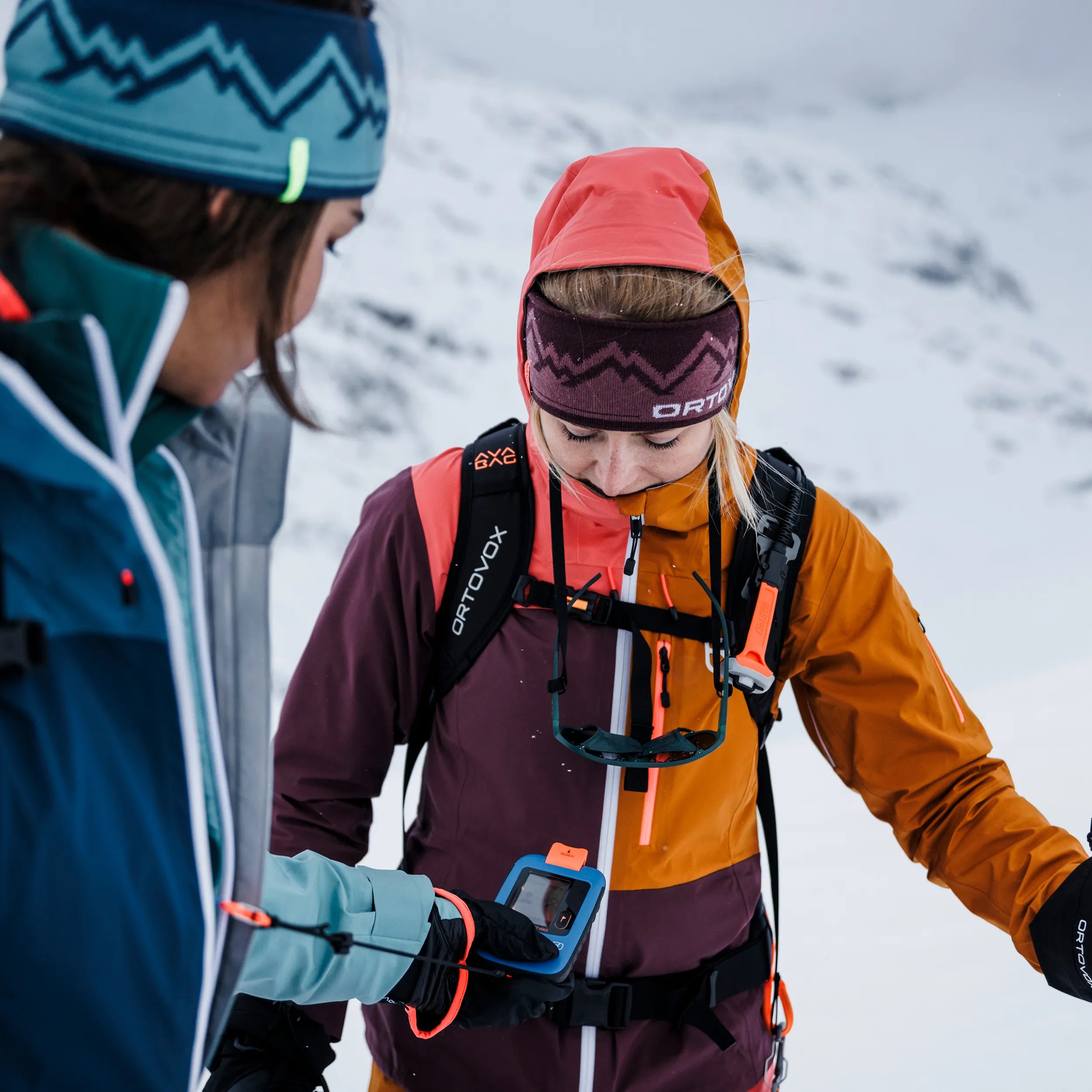 Ortovox 320+ PFA Probe Sond Steel Steel/Silver